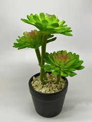 Elegant Artificial Succulent in Black Planter