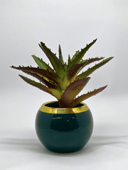 Artificial Aloe Succulent in Glossy Green Ceramic Pot with Gold Rim