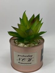 Artificial Succulent in Decorative Tin Pot