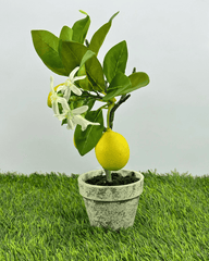 Elegant Artificial Lemon Plant in Rustic Pot