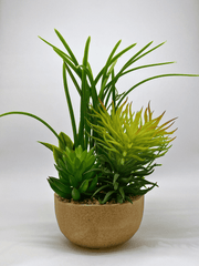 Artificial Succulent Plant Arrangement