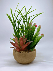 Artificial Succulent & Cactus Arrangement in Decorative Pot