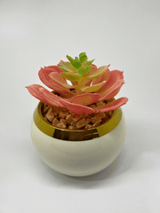 Artificial Succulent in White Ceramic Planter