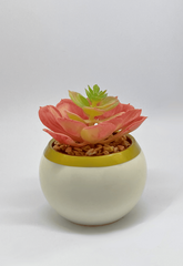 Artificial Succulent in White Ceramic Planter