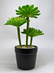Elegant Artificial Succulent in Black Planter