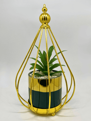 Golden Stand Pot with Green Plant