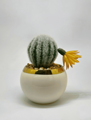 Artificial Cactus in White Ceramic Planter
